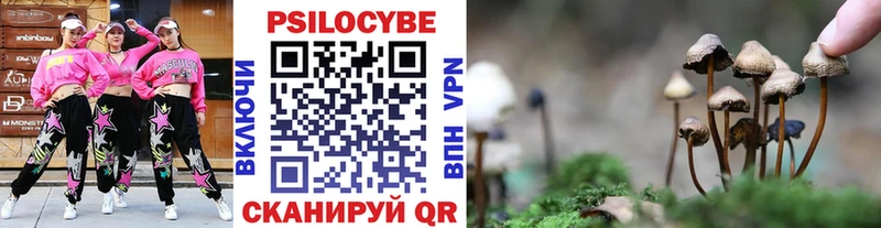 Галлюциногенные грибы прущие грибы  Котельниково 